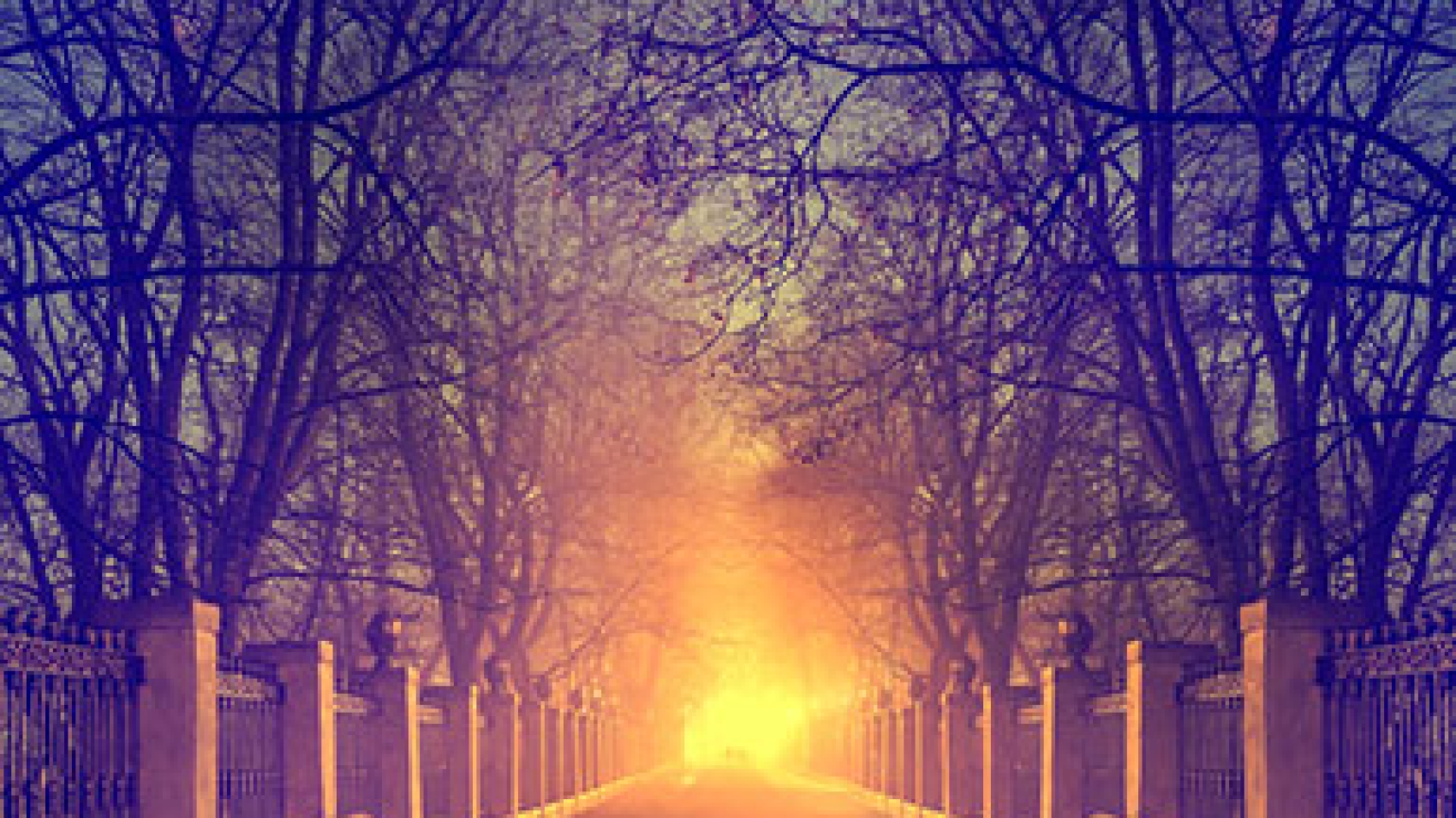Mystical-Forrest