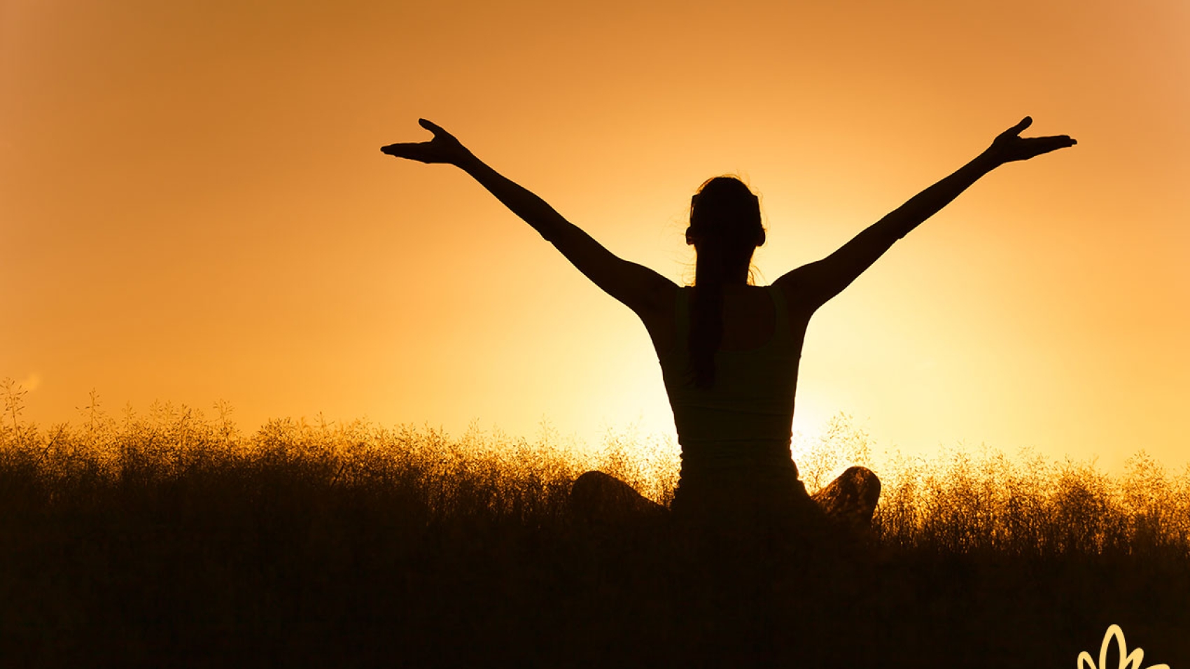 Learn Energy Healing