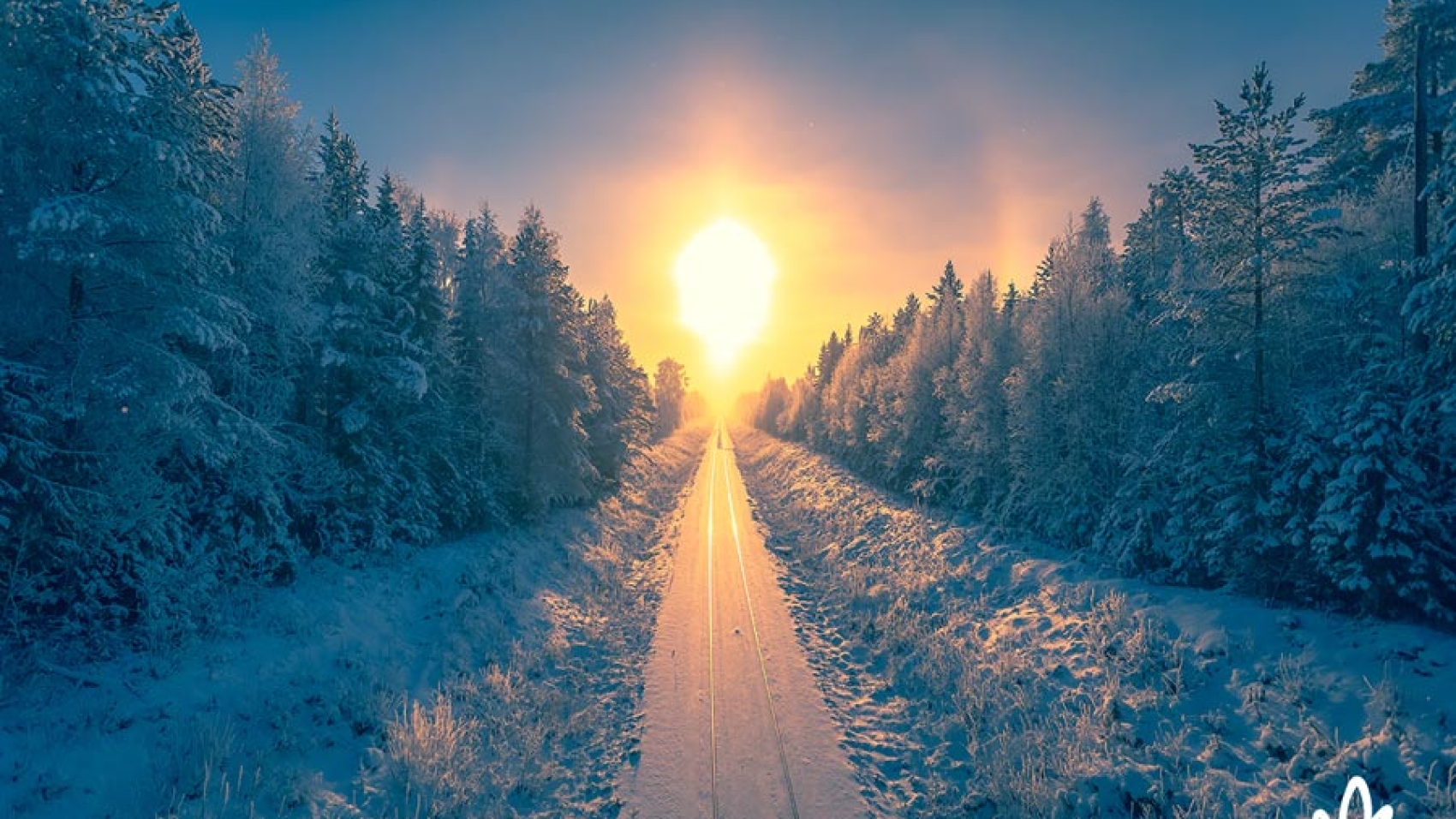 Winter Solstice