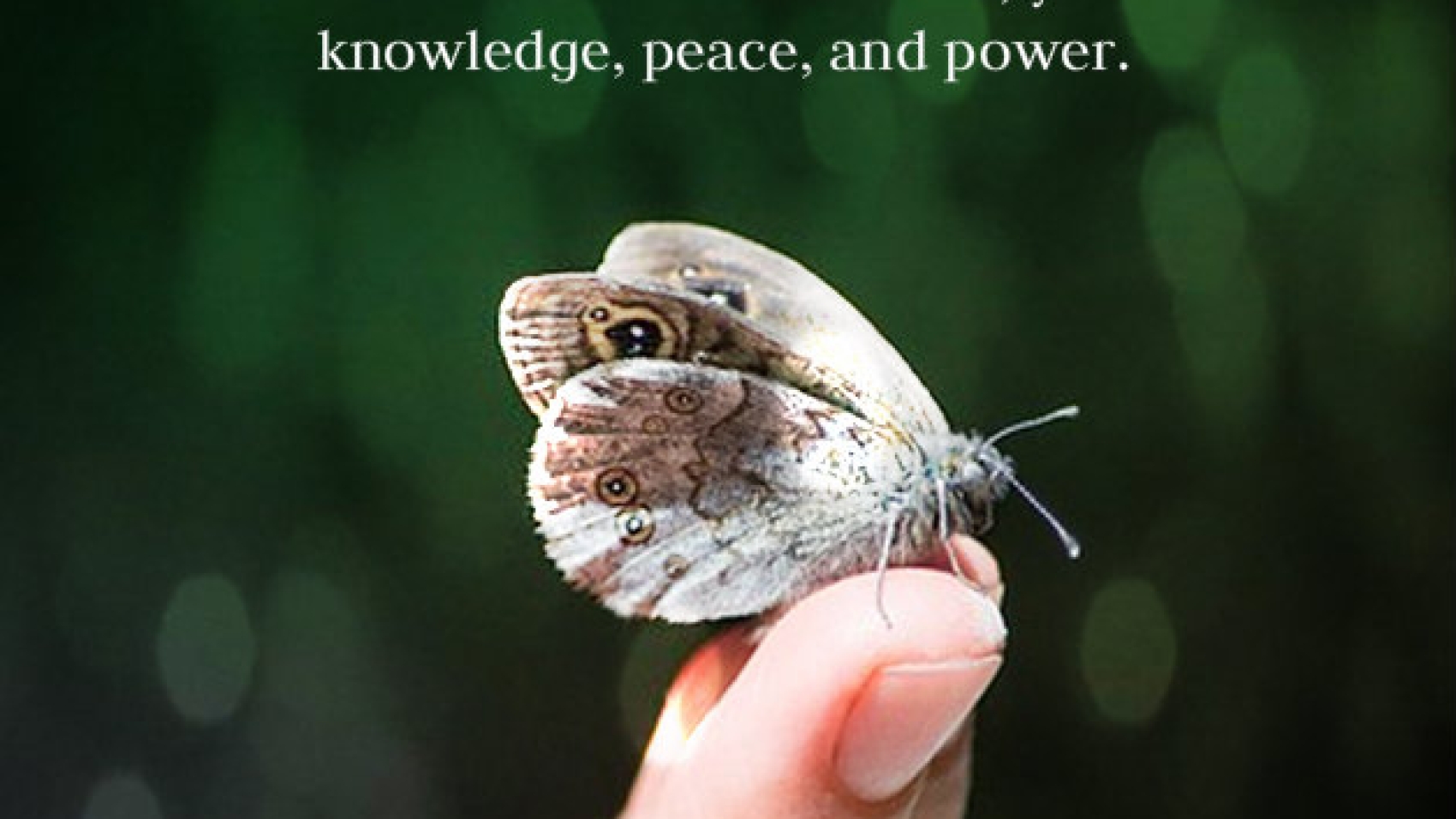 DK_blog_7
