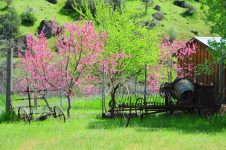Jardin-Botanique-compressed