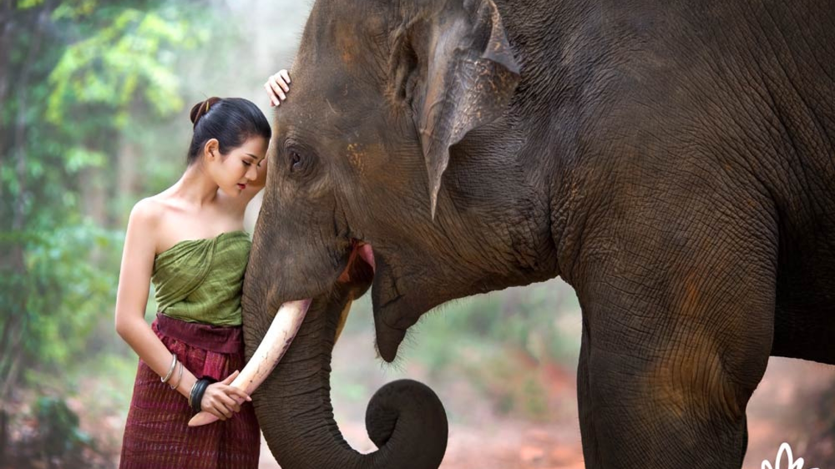 2018ElephantBlog