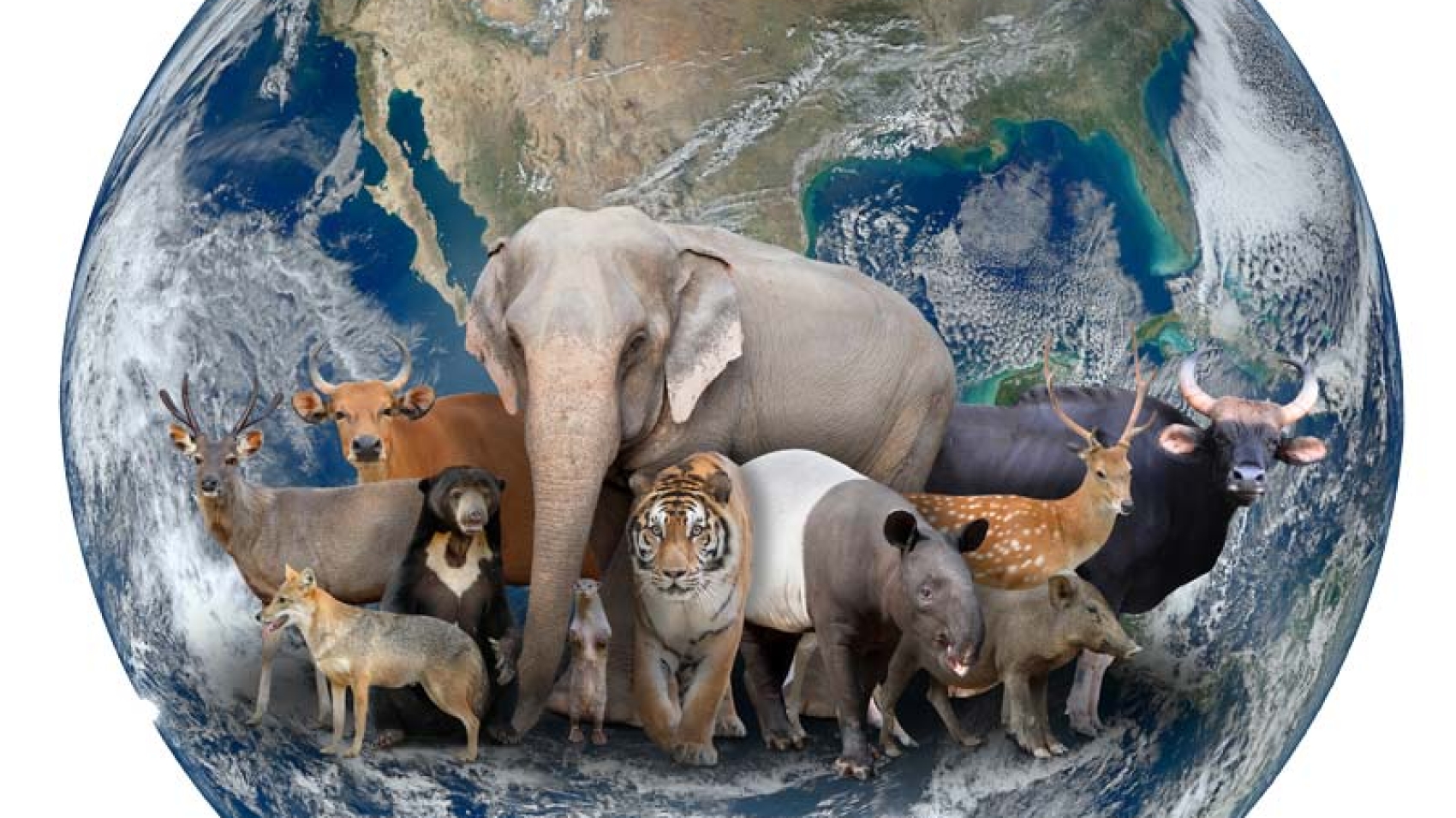 2018EndangeredSpeciesBlog