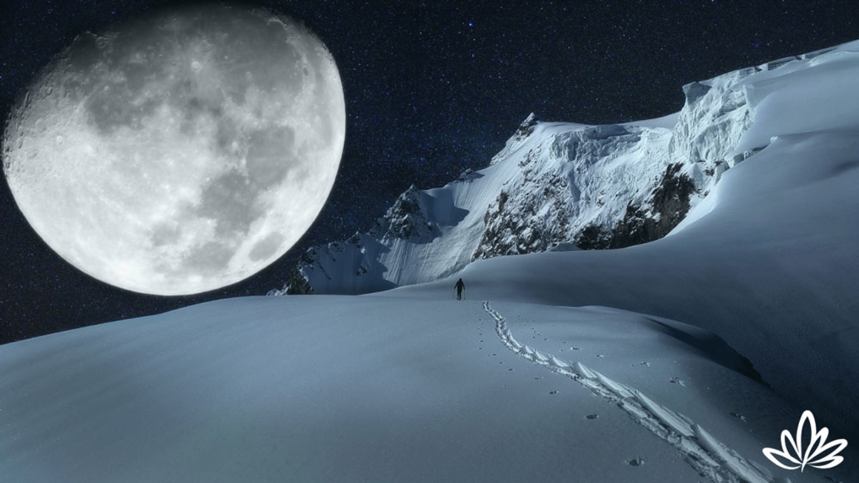 2019 Super Moon