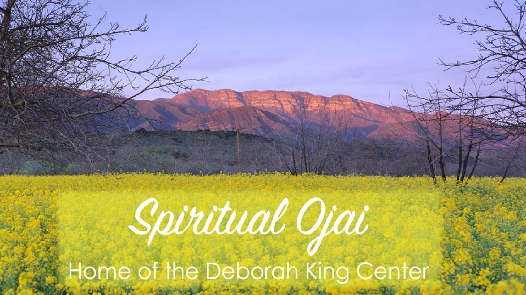 Home of the Deborah King Center