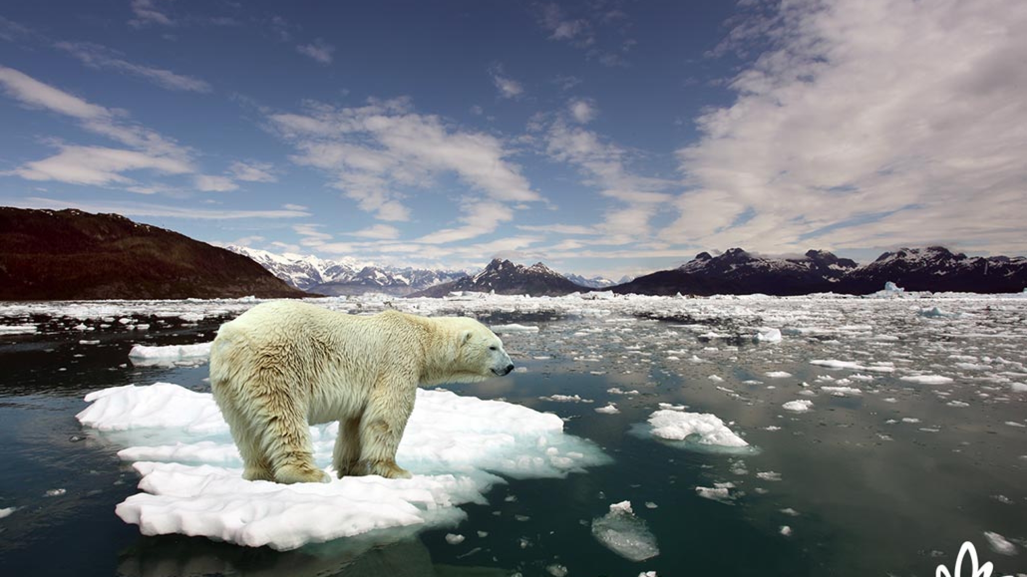 Global Warming