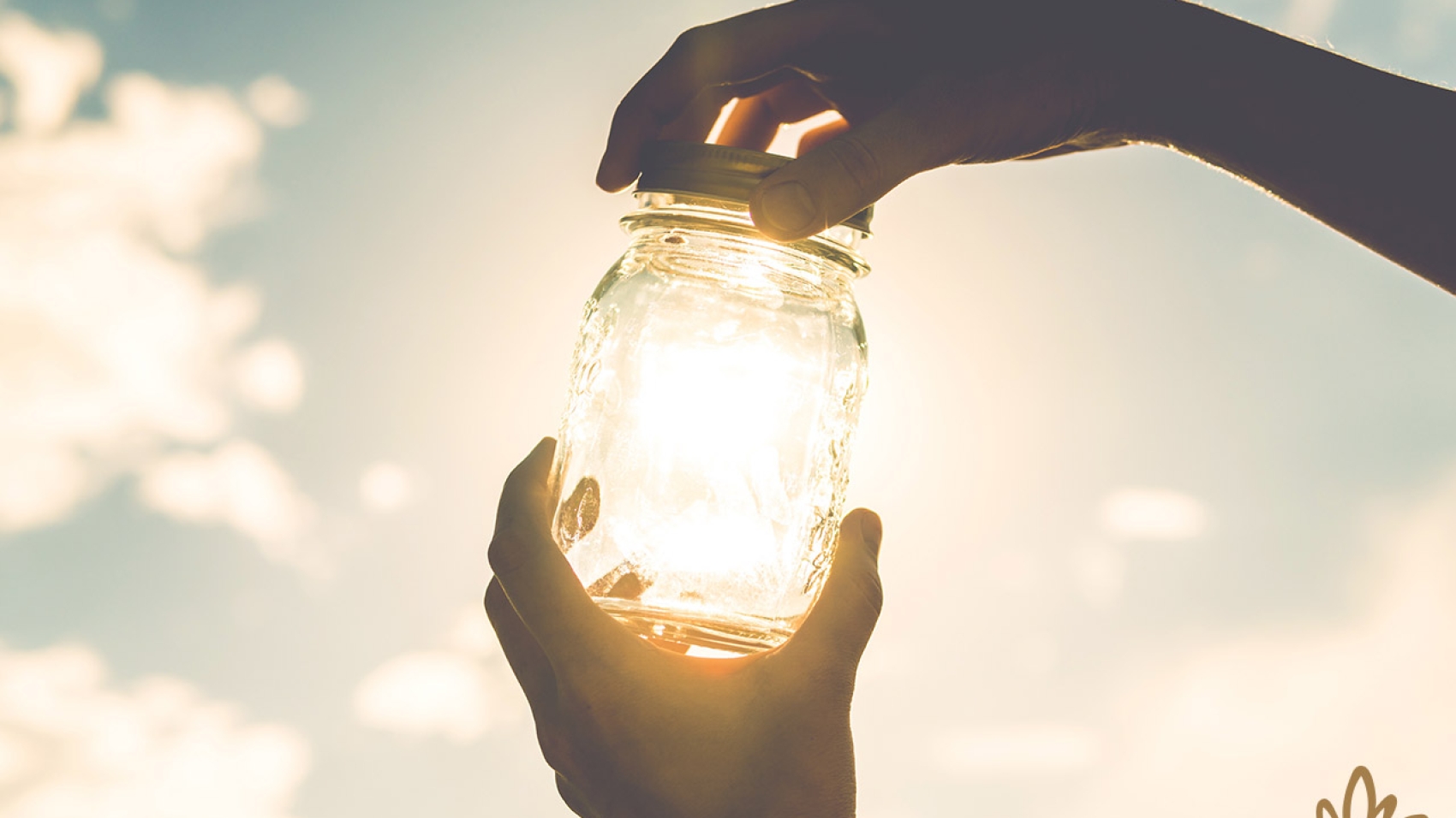 Let in the Light