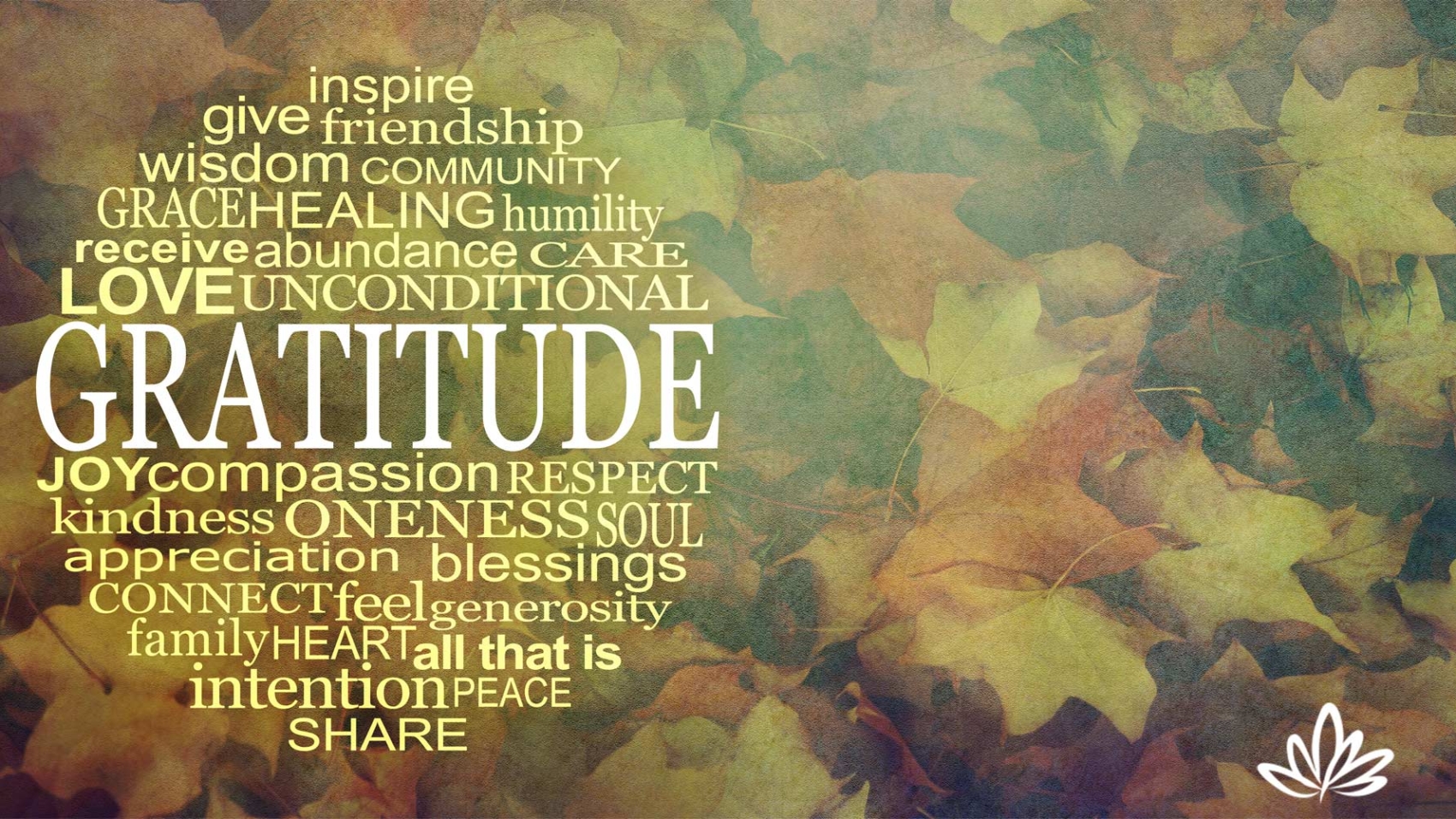 2023-PerpetualThanksgivingBlog-featured
